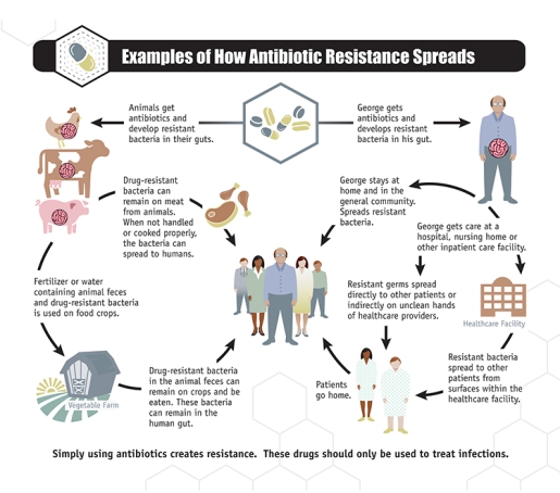 2-how_antibiotic_resistance_spreads1